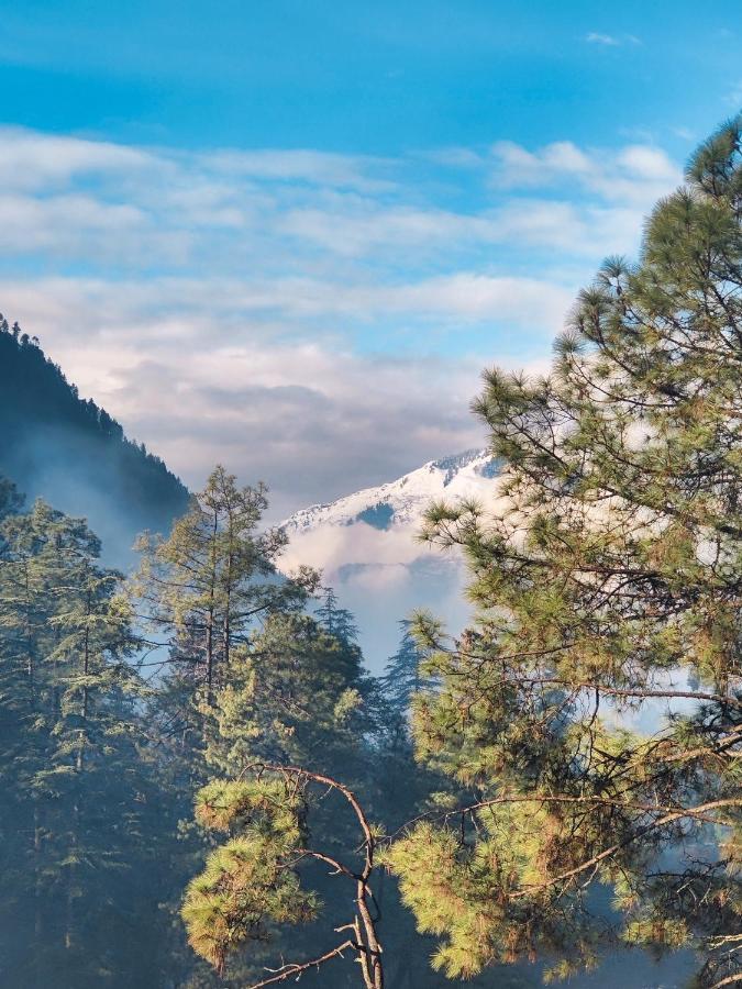 Free Culture, Chalal Bed and Breakfast Kasol Εξωτερικό φωτογραφία